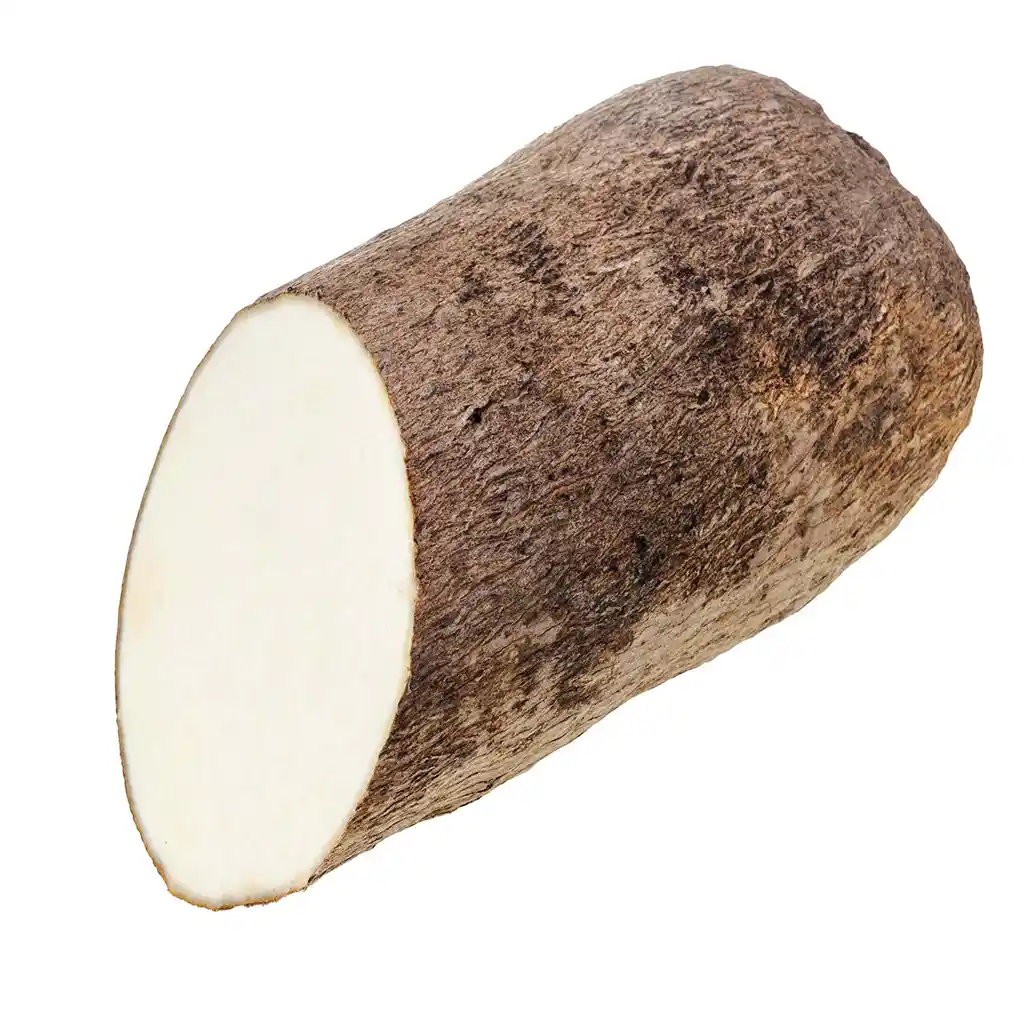 Shree Krishna Cassava Cut 1 Shree Krishna Cassava Cut